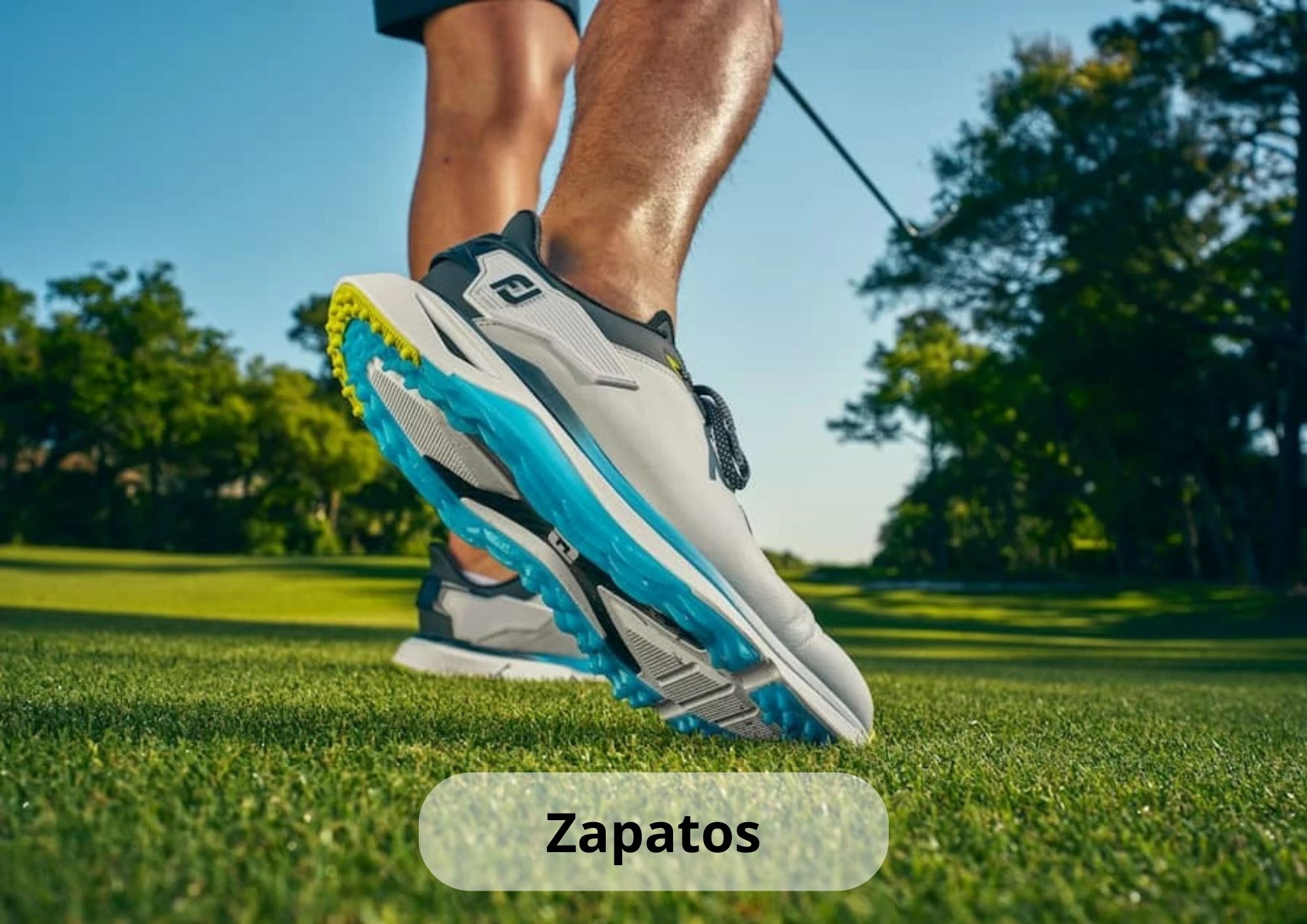 zapatos de golf